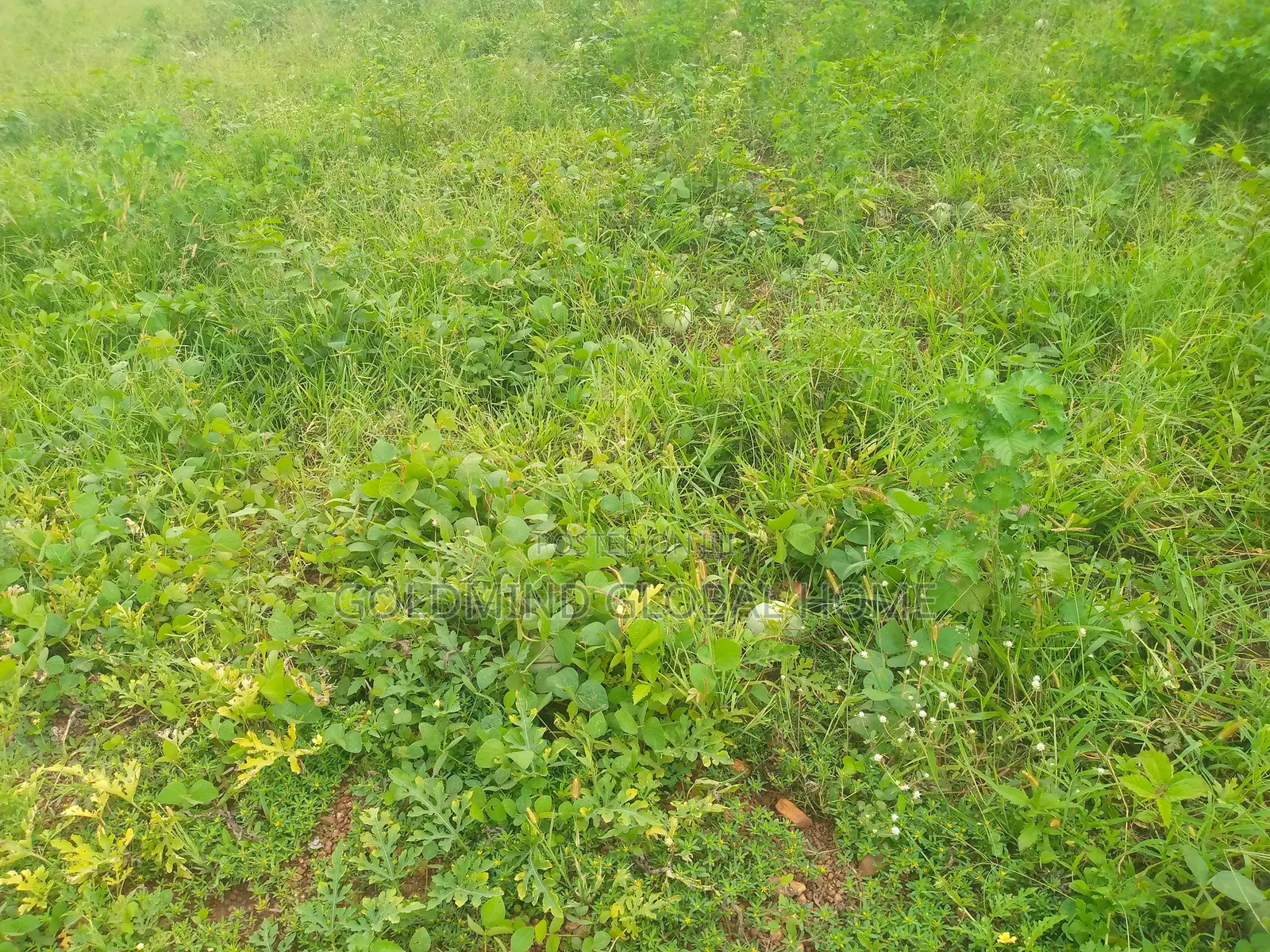 2400sqm. Residential Land for Sale in Jahi District. Abuja - Nigeria in Jahi
