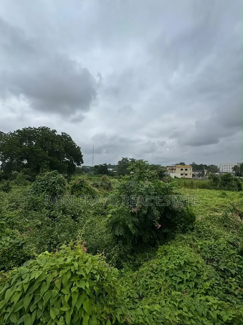 4658 SQM of Commercial Land on Main Road for Sale in Jericho