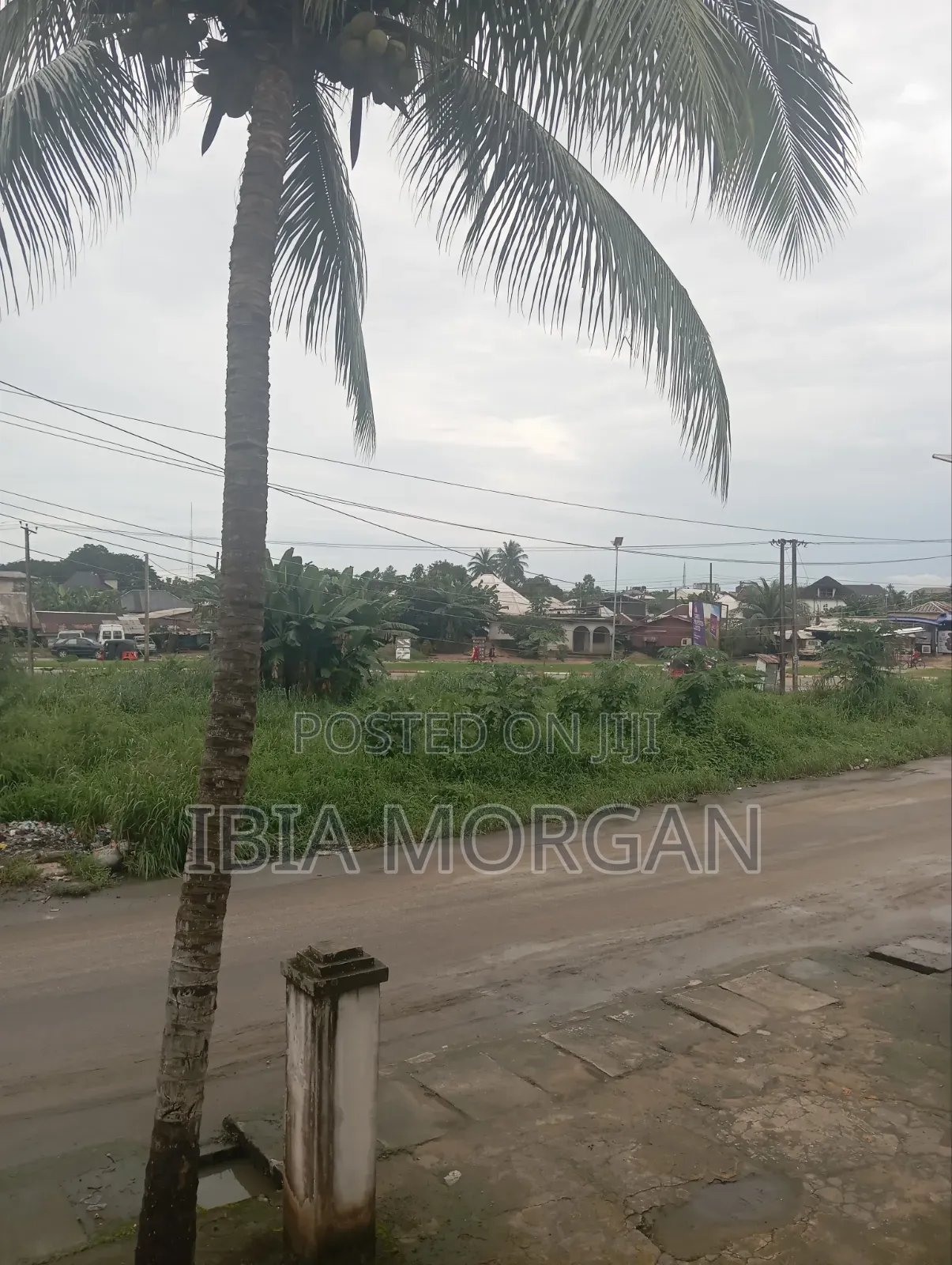 3000sqm Land at 2 Lanes, Uyo for Sale in Uyo