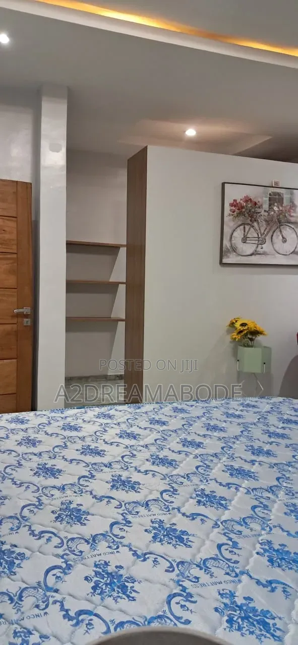 Furnished 3bdrm Duplex in Ikeja for rent in Ikeja GRA