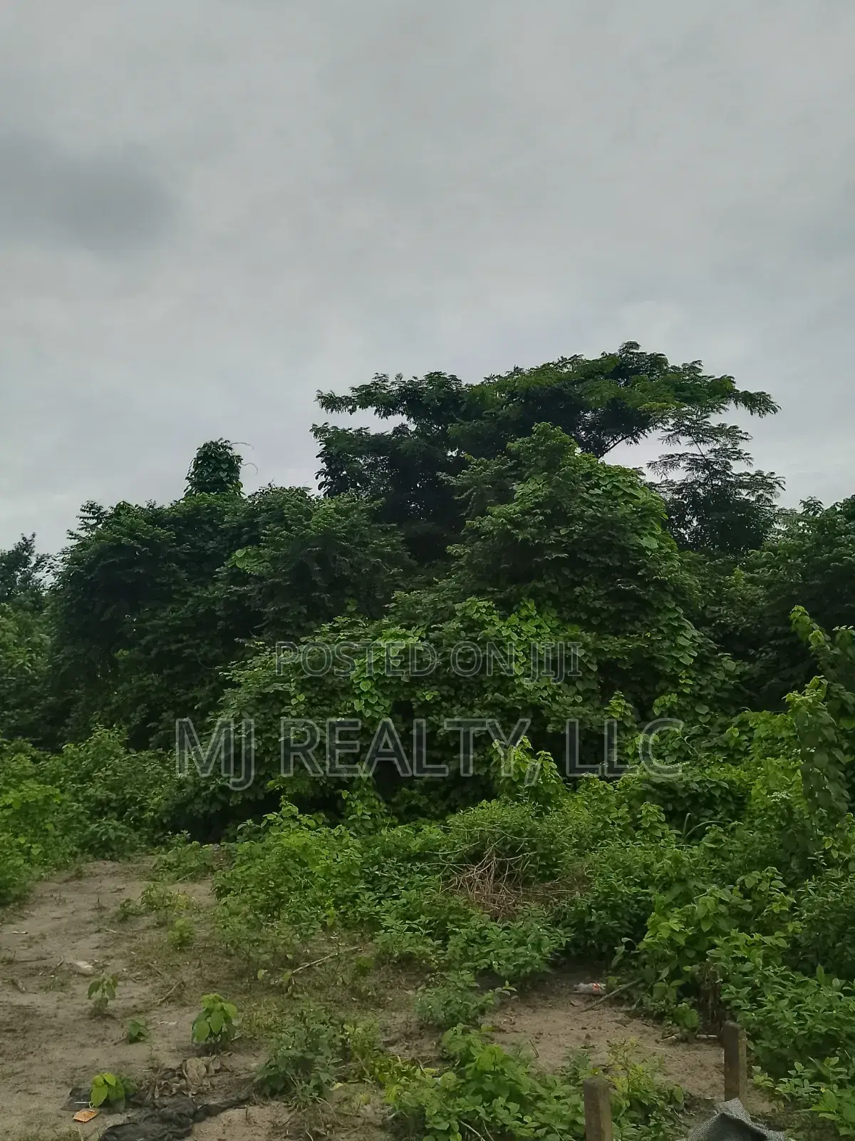 1,000 Square Metres Dry Land Close to Lekki Expressway in Idado