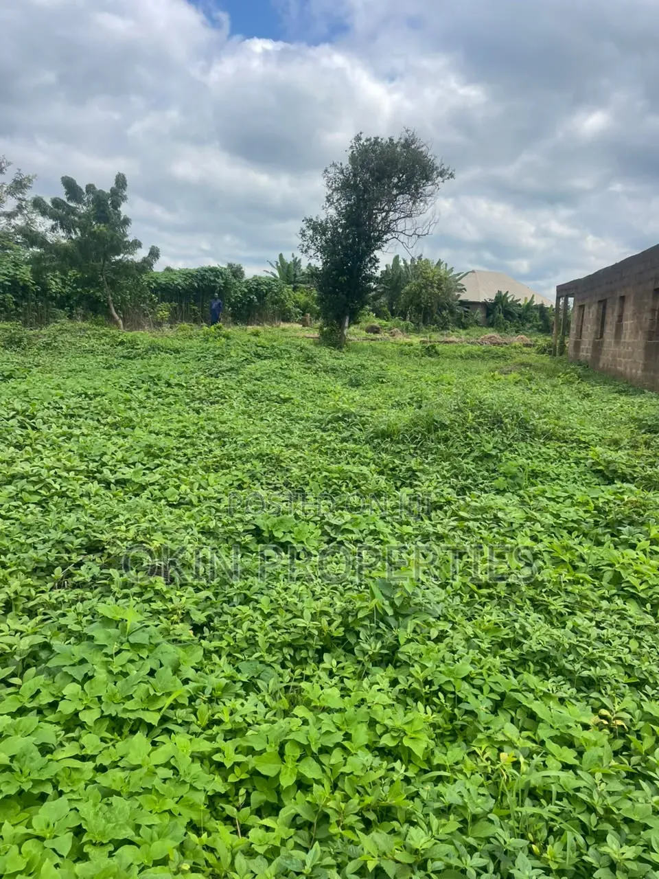 Two Plots With Uncompleted Flats in Osogbo