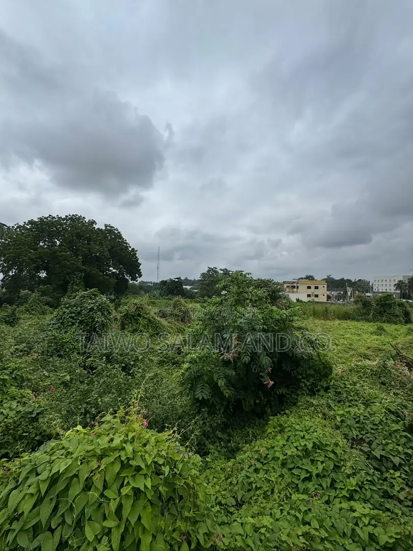 4,658sqm Commercial Land in Jericho