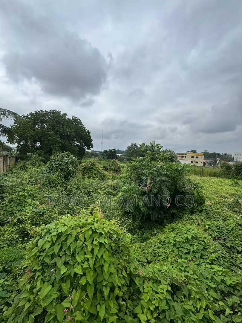 4,658sqm Commercial Land in Jericho