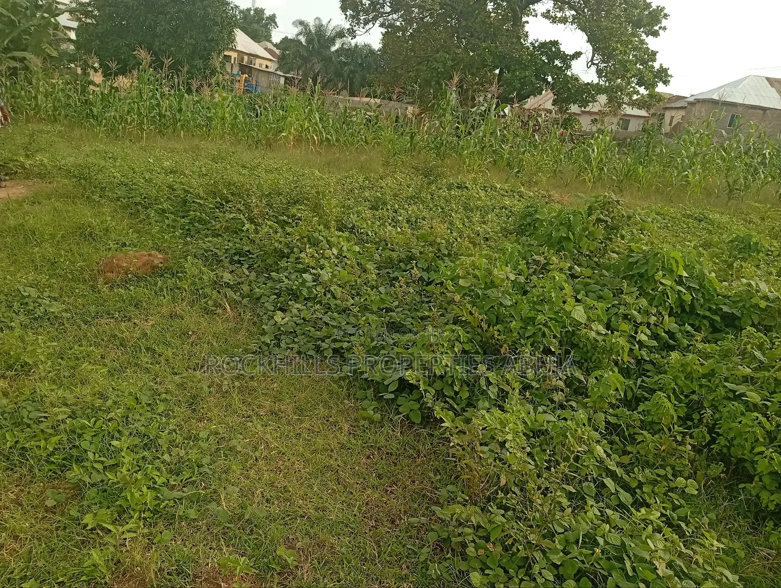 Flat Land for Sale at Kubwa Abuja in Kubwa