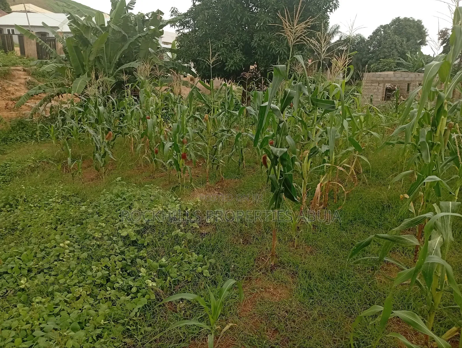 Flat Land for Sale at Kubwa Abuja in Kubwa