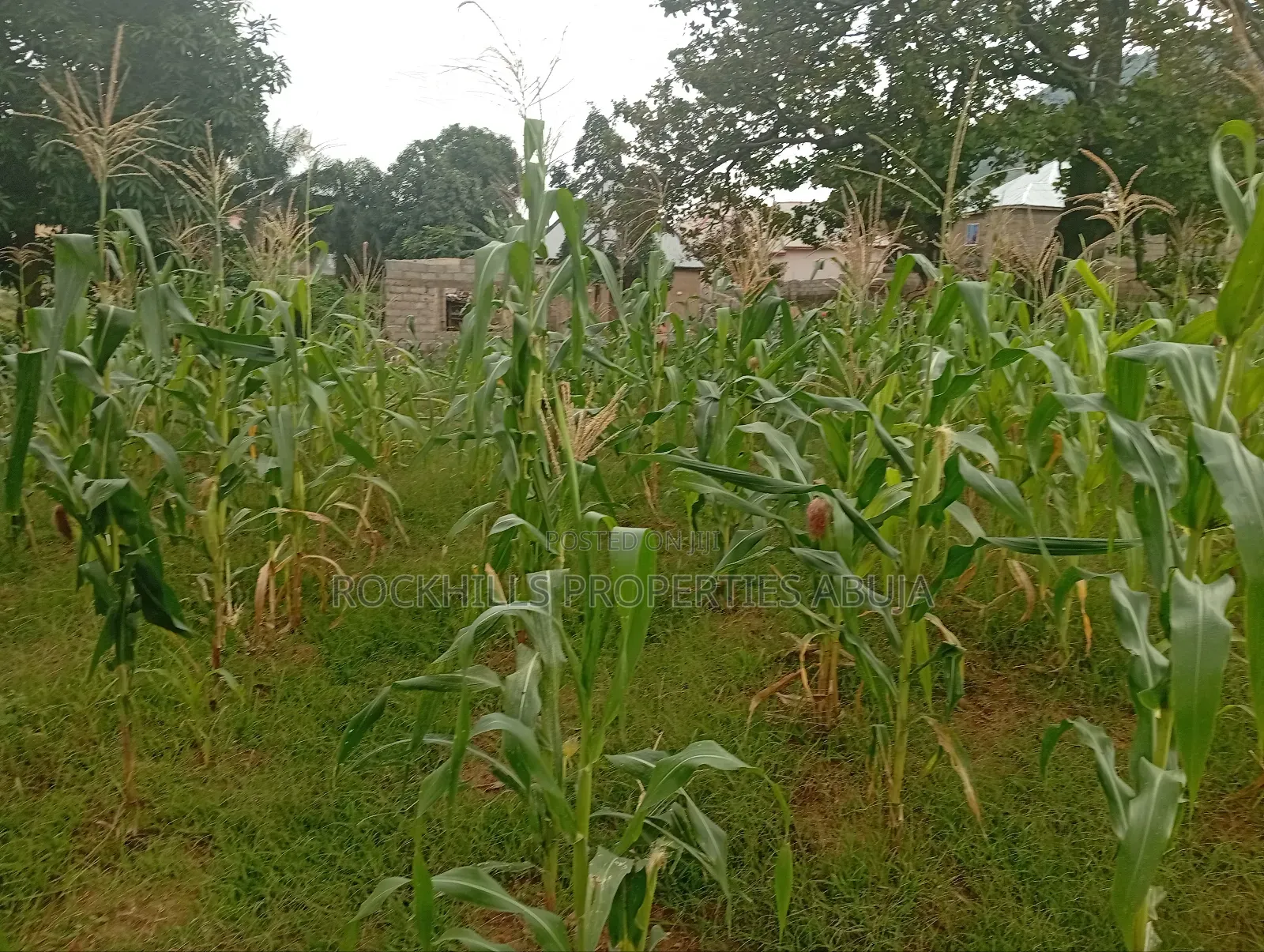 Flat Land for Sale at Kubwa Abuja in Kubwa