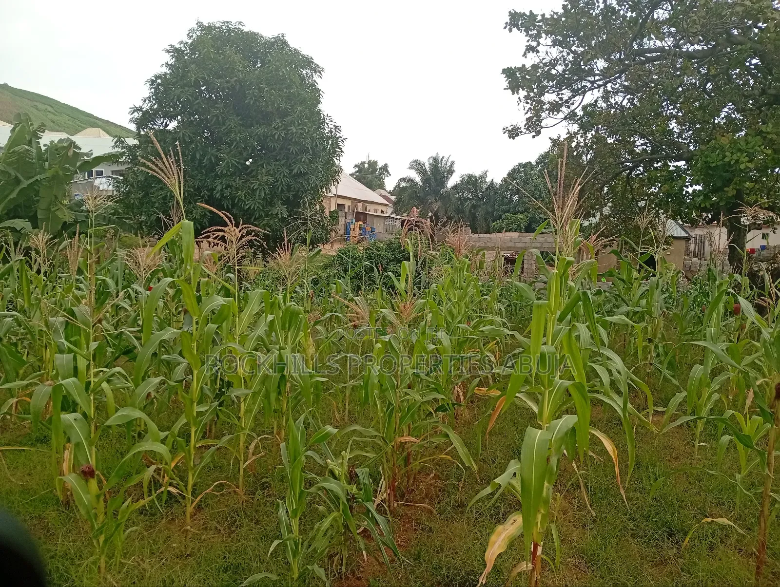 Flat Land for Sale at Kubwa Abuja in Kubwa