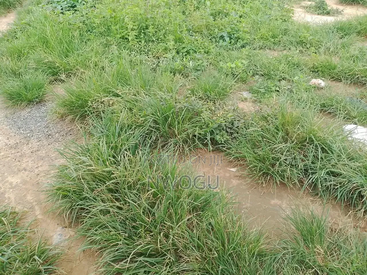 3 Plots of Land at a Good Location in Okpulo Umuobo on a Tarred Road. in Osisioma Ngwa