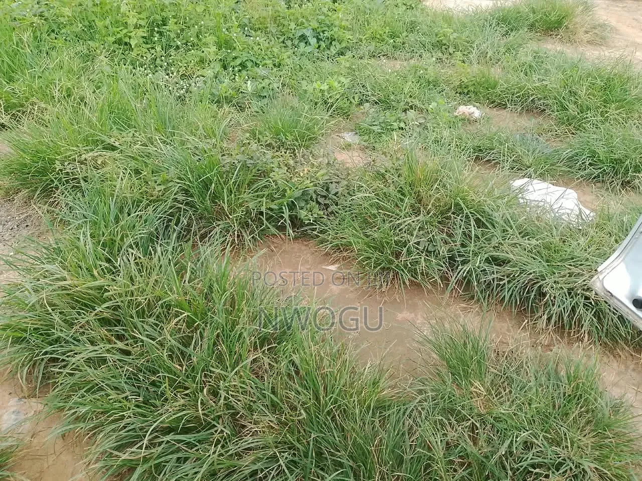 3 Plots of Land at a Good Location in Okpulo Umuobo on a Tarred Road. in Osisioma Ngwa