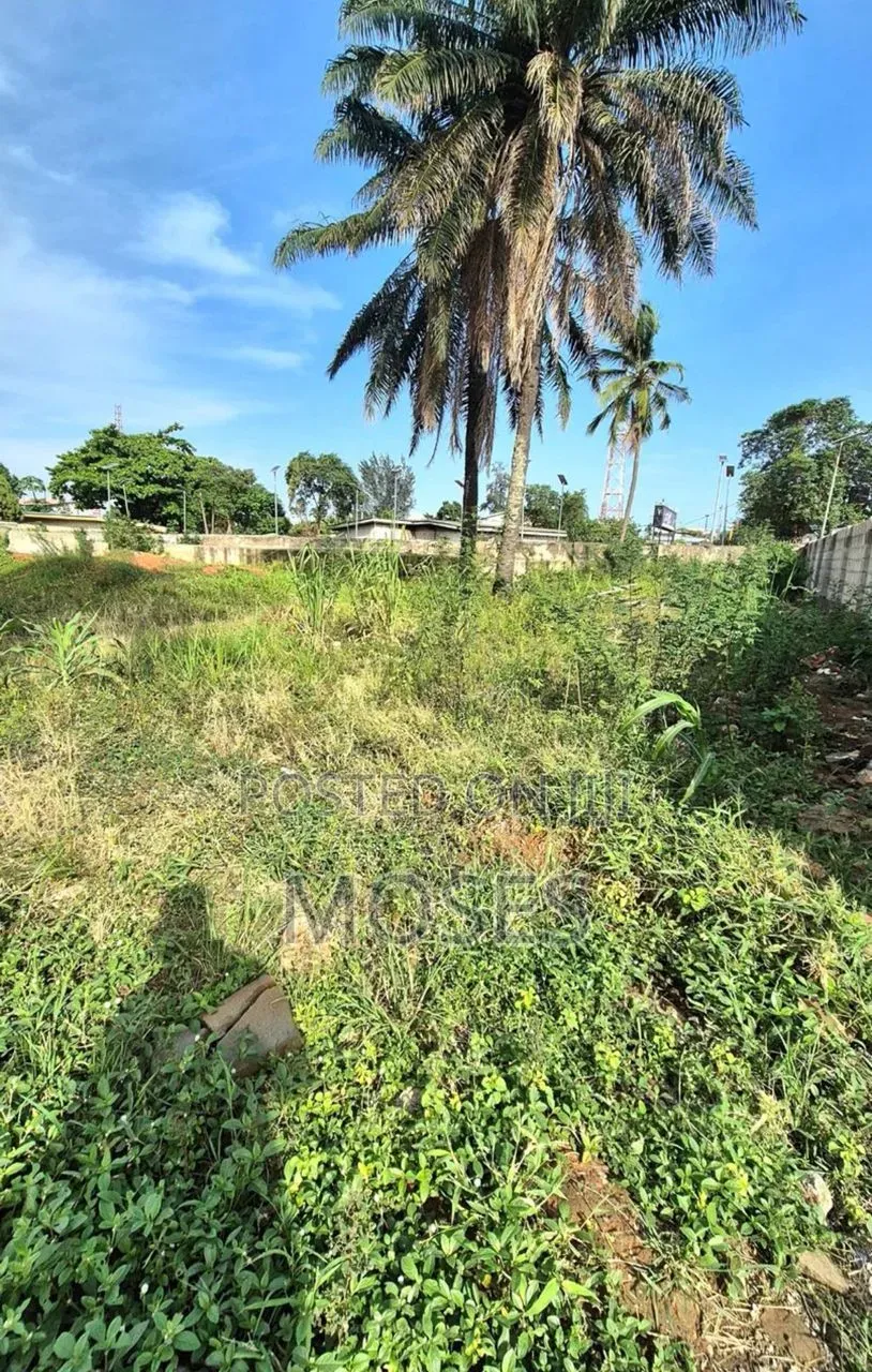 1,017 Square Meters of Bareland in Ibeju-Agbe