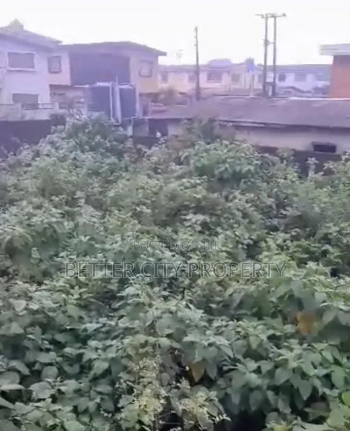 Full Plot of Land at Ifelodun Street Oko Oba Orile Agege in Oko-Oba