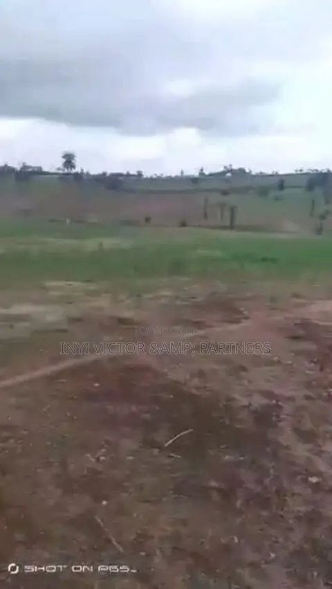 Jv 2 Hectares at Apo Wasa in Wasa