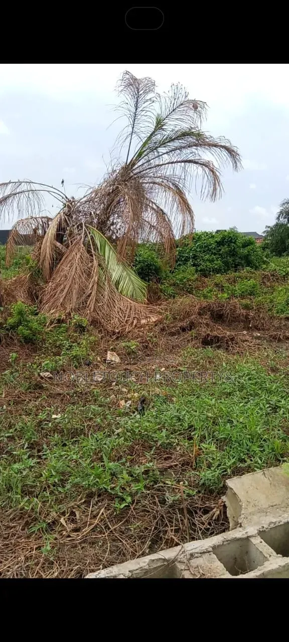 360sqmt Land at Isheri Oshun Ijegun Ikotun Lagos in Ijegun