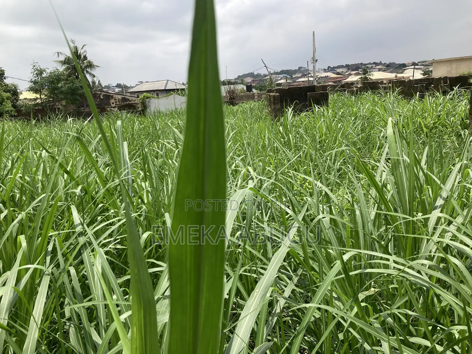 For Sale: A Fenced & Gated Two Plots of Land @ Johnson Awe in Oluyole