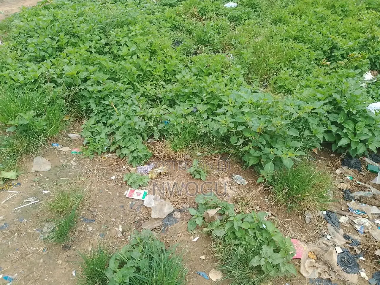 2 Hectares of Jv Mixed Used Land at Mabushi Opposite Capital Hub in Mabushi
