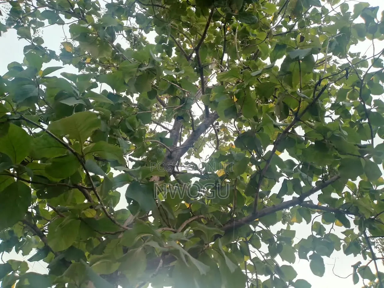 2 Hectares of Jv Mixed Used Land at Mabushi Opposite Capital Hub in Mabushi