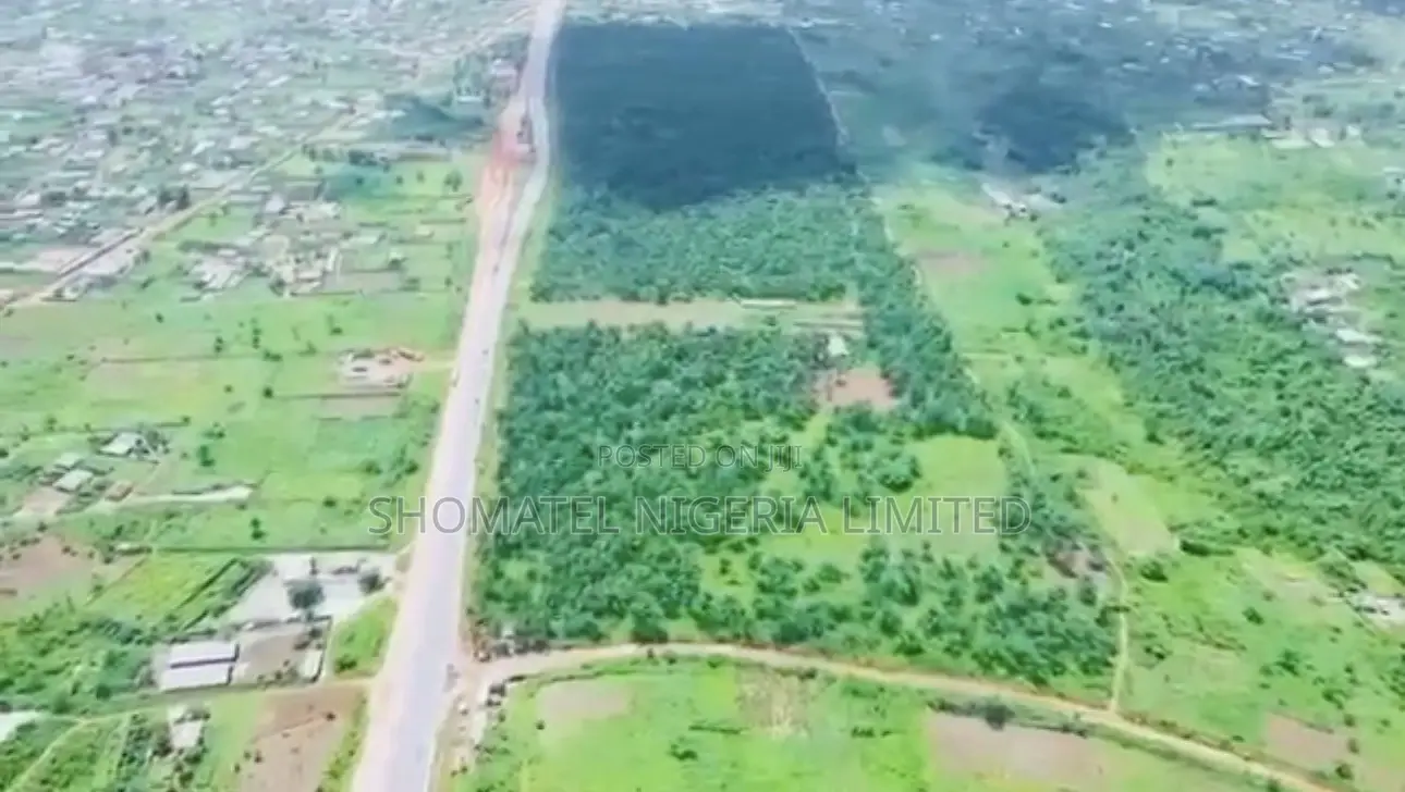 ✅palm Oil Plantation Farm and Fish Farm for Sale*✅ in Ado-Odo/Ota