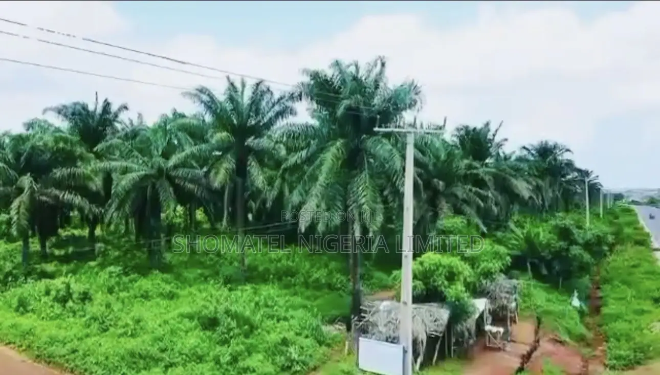 ✅palm Oil Plantation Farm and Fish Farm for Sale*✅ in Ado-Odo/Ota