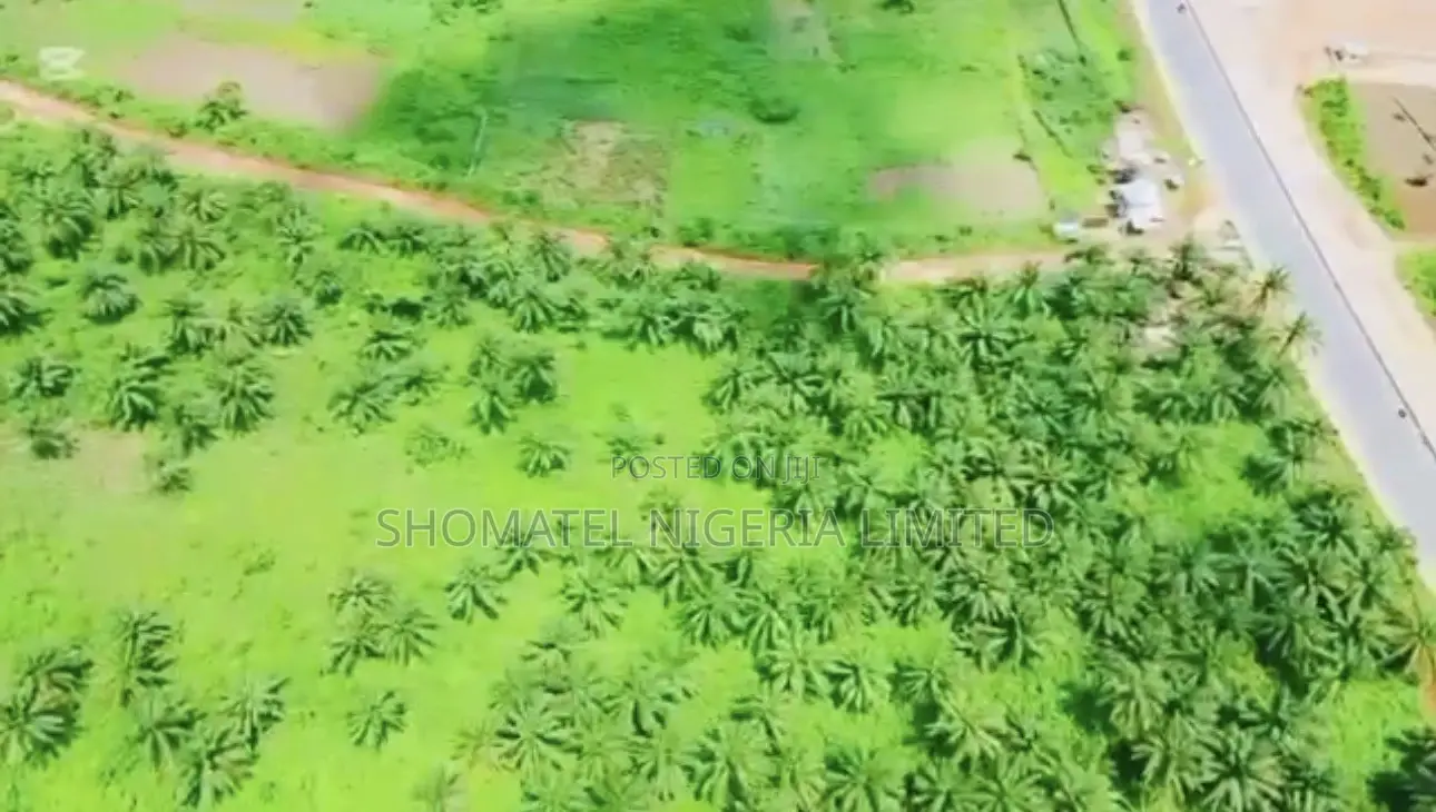 ✅palm Oil Plantation Farm and Fish Farm for Sale*✅ in Ado-Odo/Ota