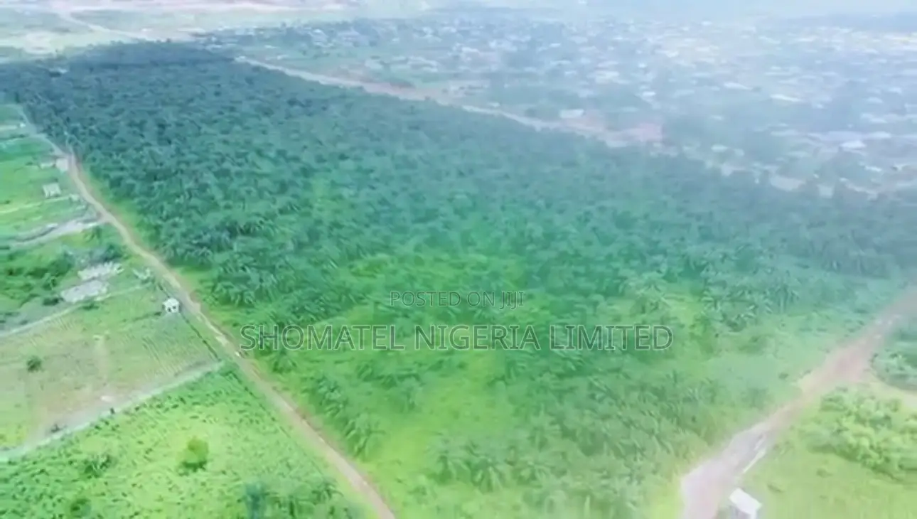 ✅palm Oil Plantation Farm and Fish Farm for Sale*✅ in Ado-Odo/Ota