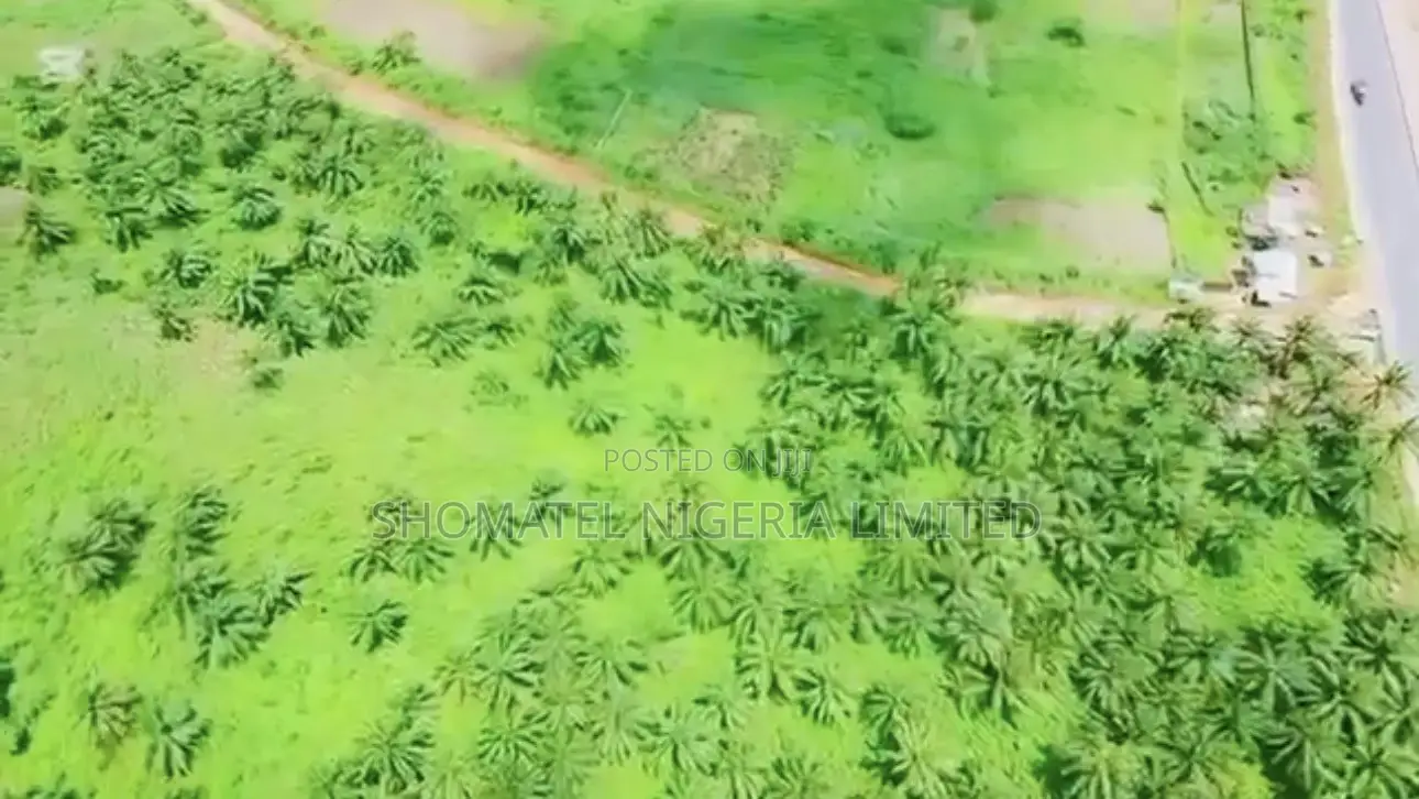 ✅palm Oil Plantation Farm and Fish Farm for Sale*✅ in Ado-Odo/Ota