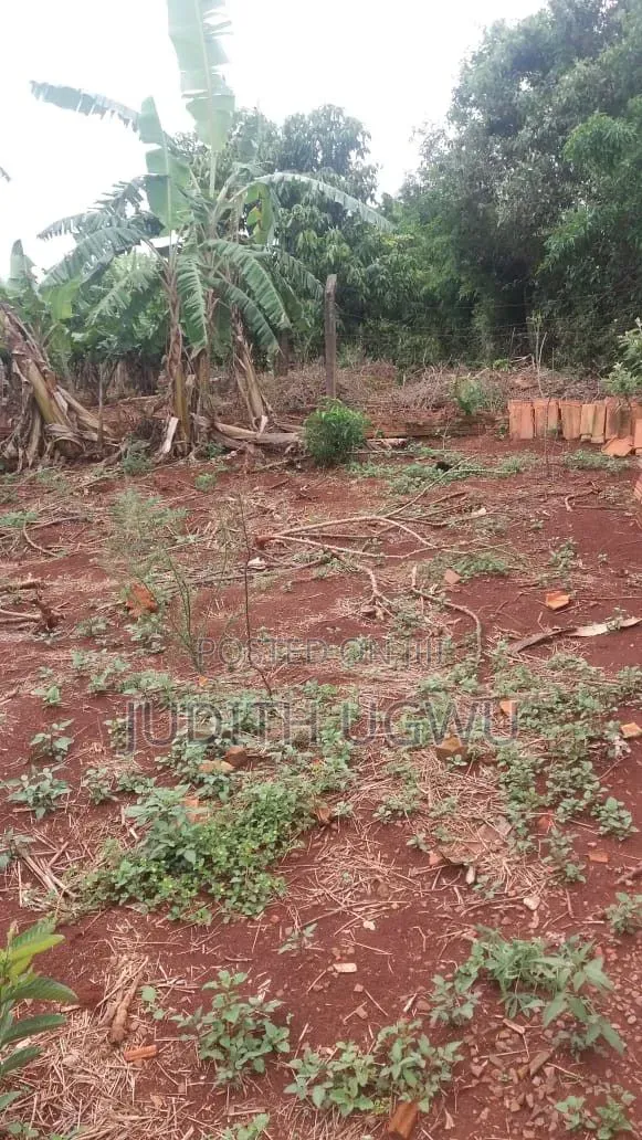 Land 50/100 in Enugu