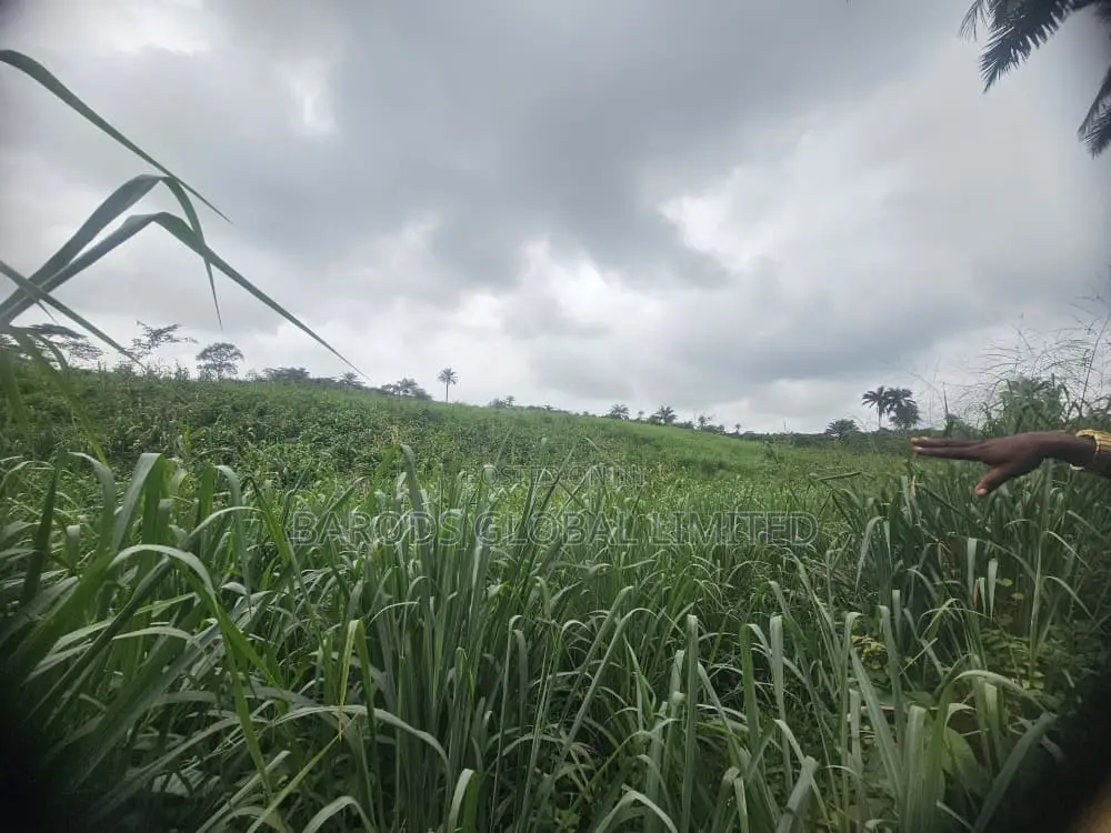 4 Acres of Farmland for Sale in Obafemi-Owode