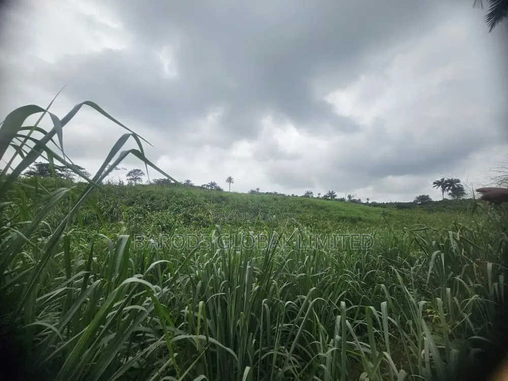 4 Acres of Farmland for Sale in Obafemi-Owode