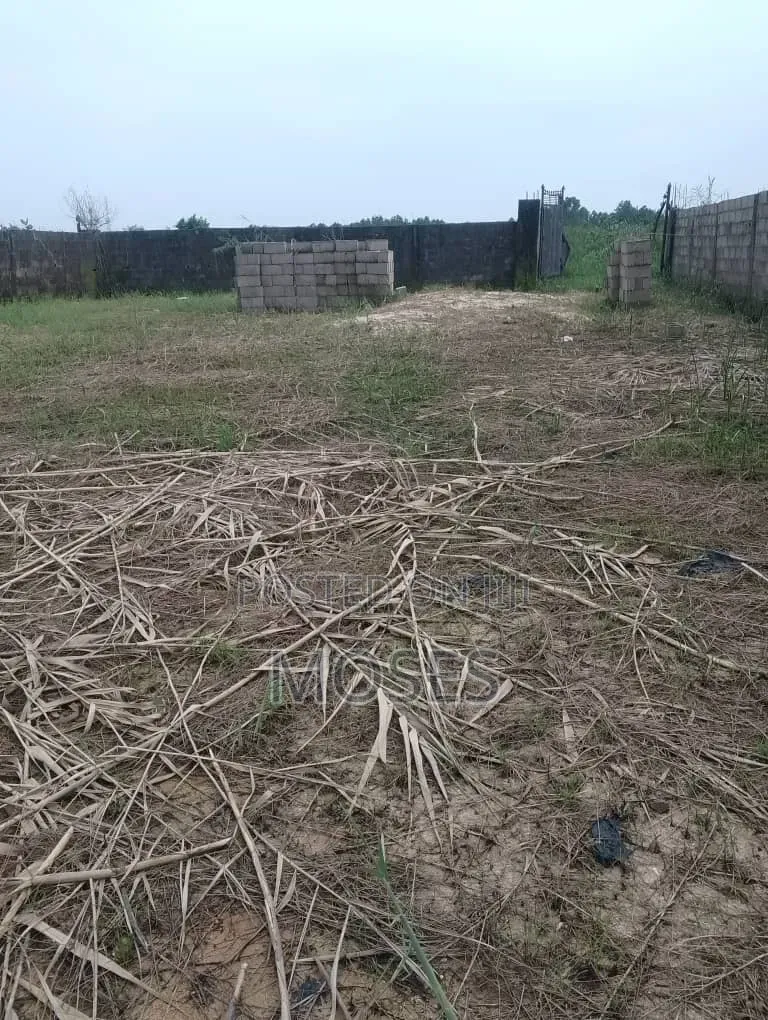 Well Developed Residential Bareland in Ado / Ajah