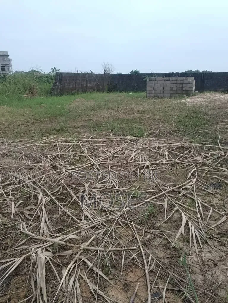 Well Developed Residential Bareland in Ado / Ajah