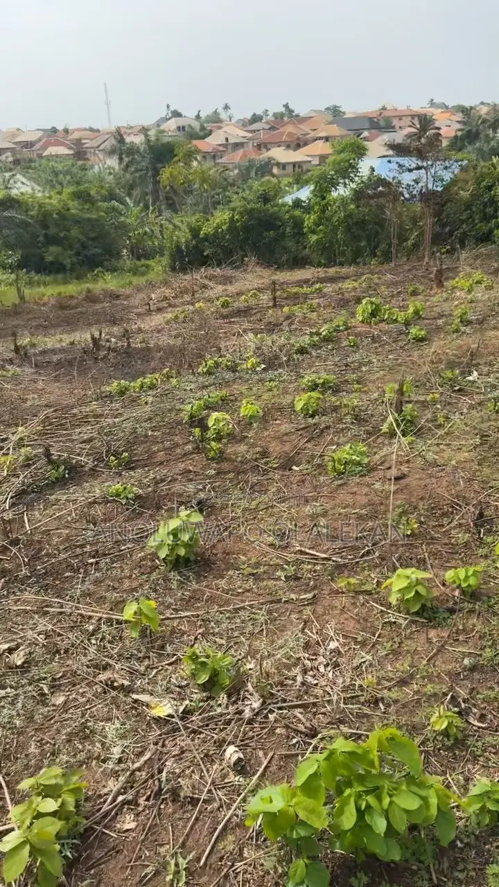 2 Plots of Land for Sale at Ariyibi Apete Ibadan in Ido