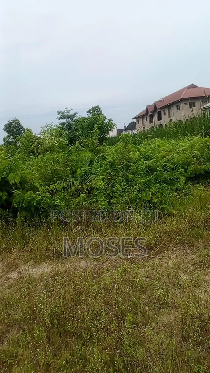 Well Developed Residential Bareland in Sangotedo