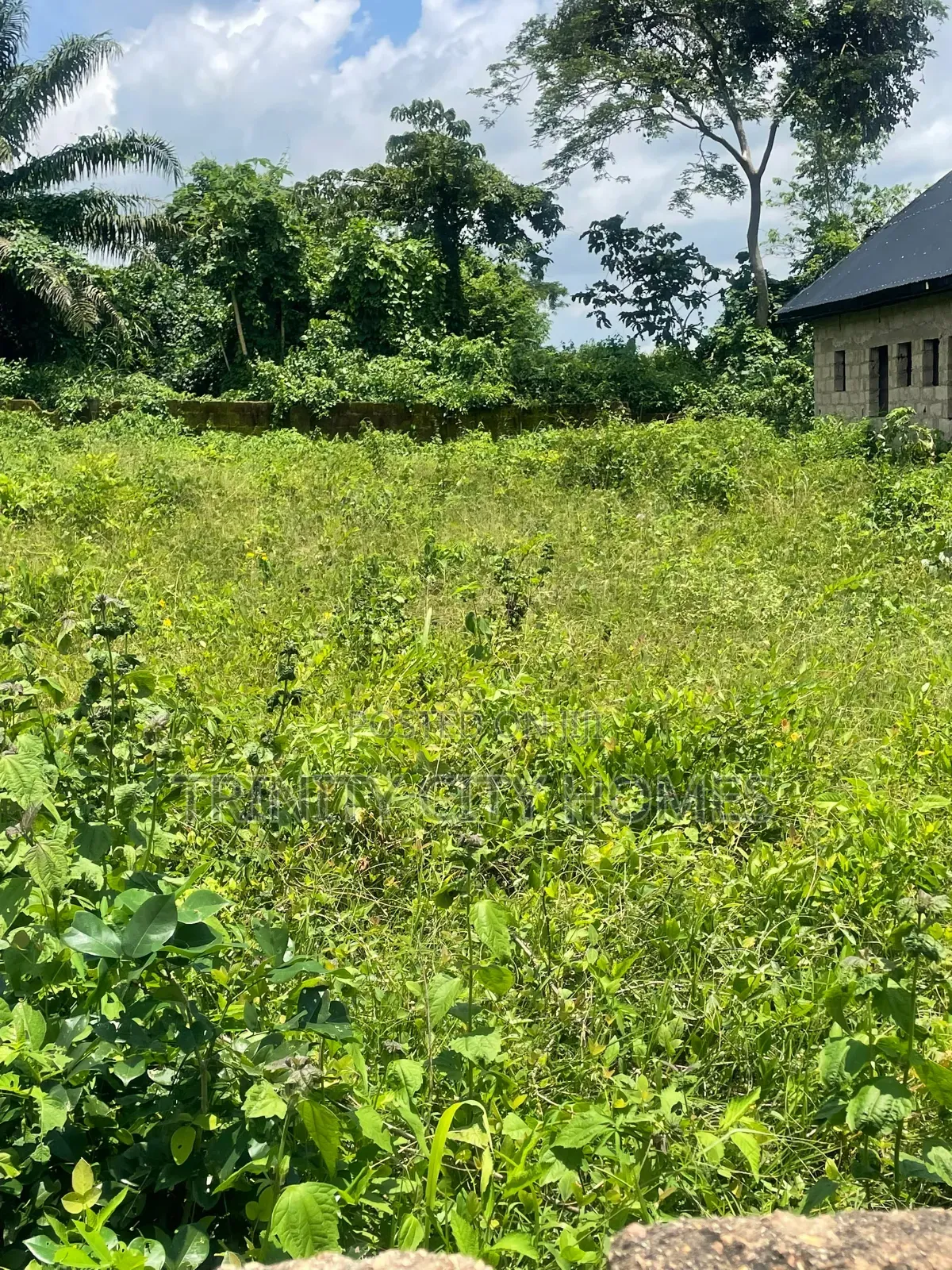 A Plot of Land With High Resale Value in Ile-Ife, Osun State in Ife