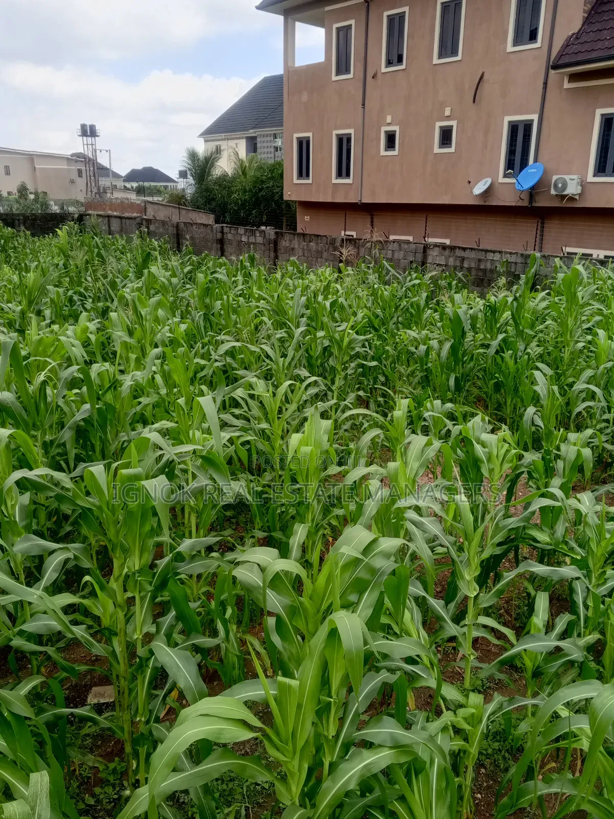 1000sqm Land Dape District in Dape