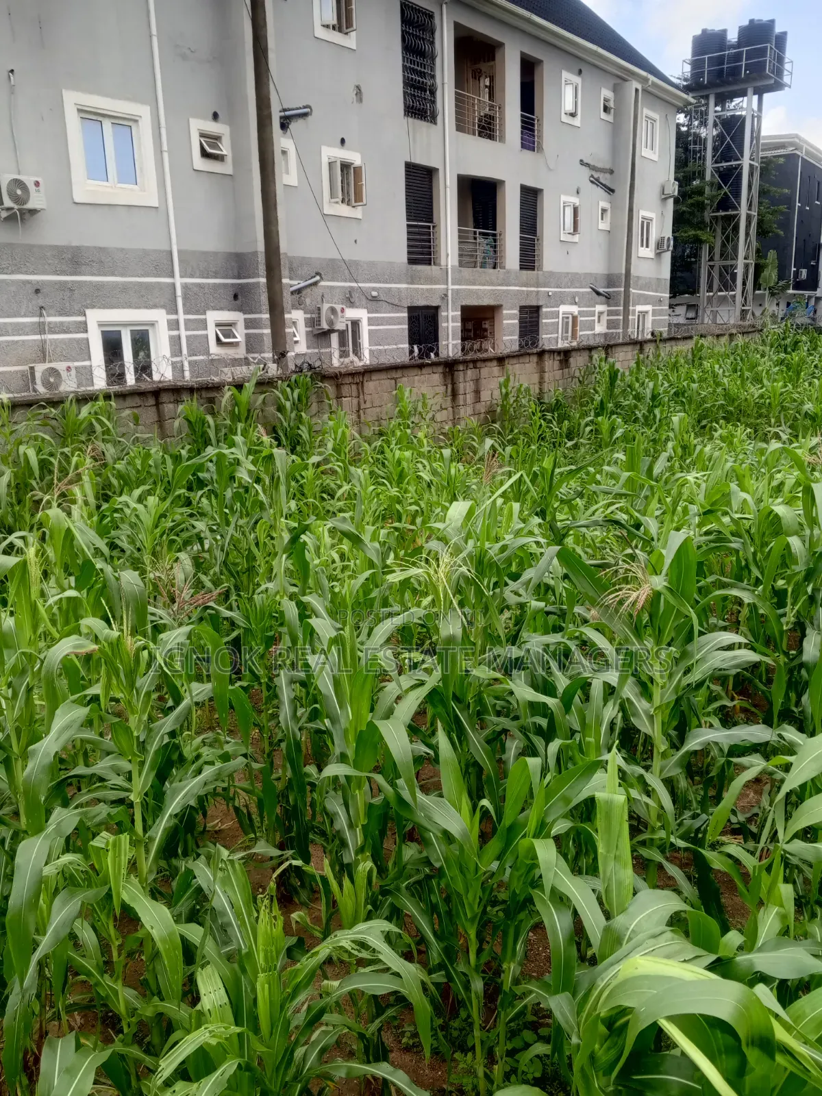1000sqm Land Dape District in Dape