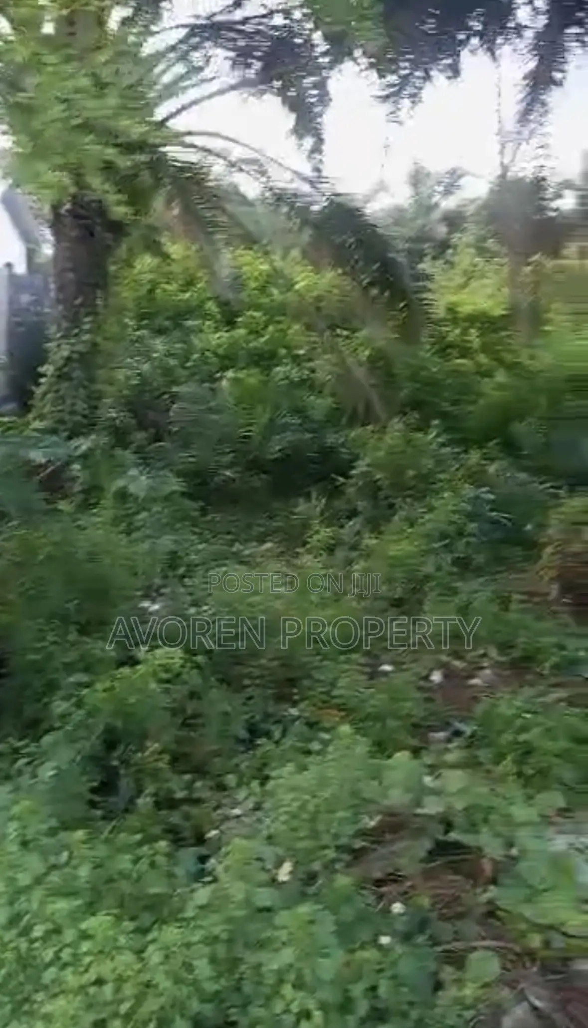One Plot of Land at Museyo Facing Road (Eleko) in Lagos State