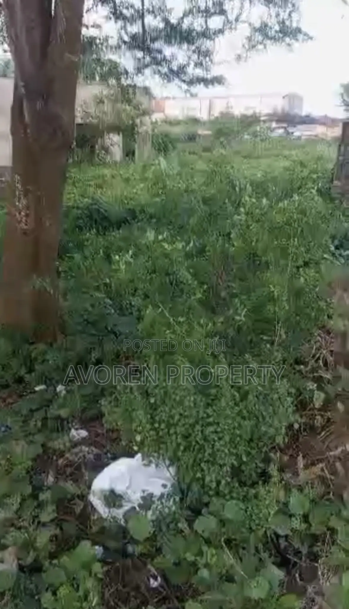 One Plot of Land at Museyo Facing Road (Eleko) in Lagos State