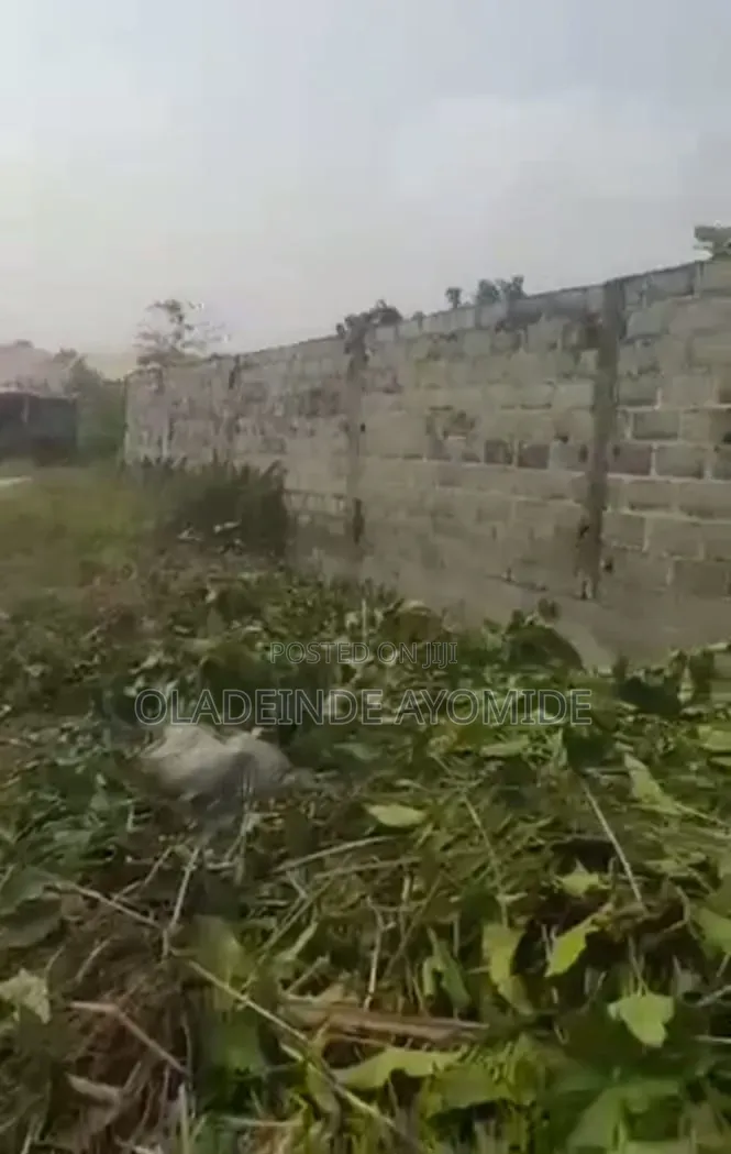 3plot and Half for Sale Location Kajola Ibeju Lekki in Bogije