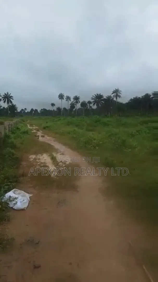 Land for Sale in Omagwa
