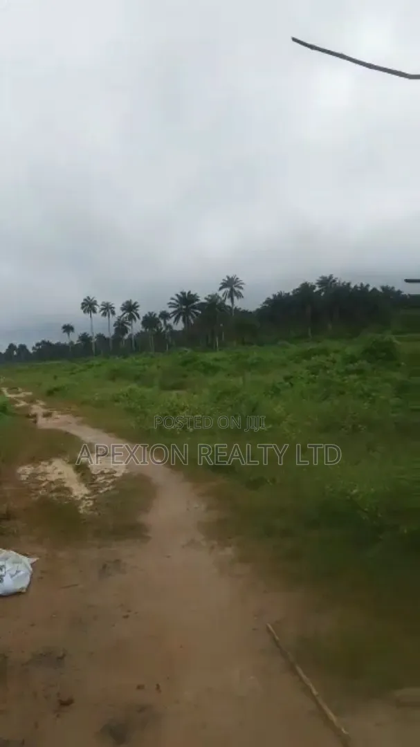 Land for Sale in Omagwa