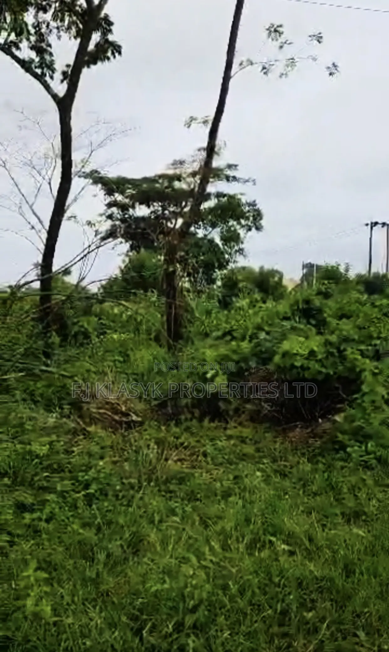 100ft by 250ft Commercial Land for Sale in Benin City