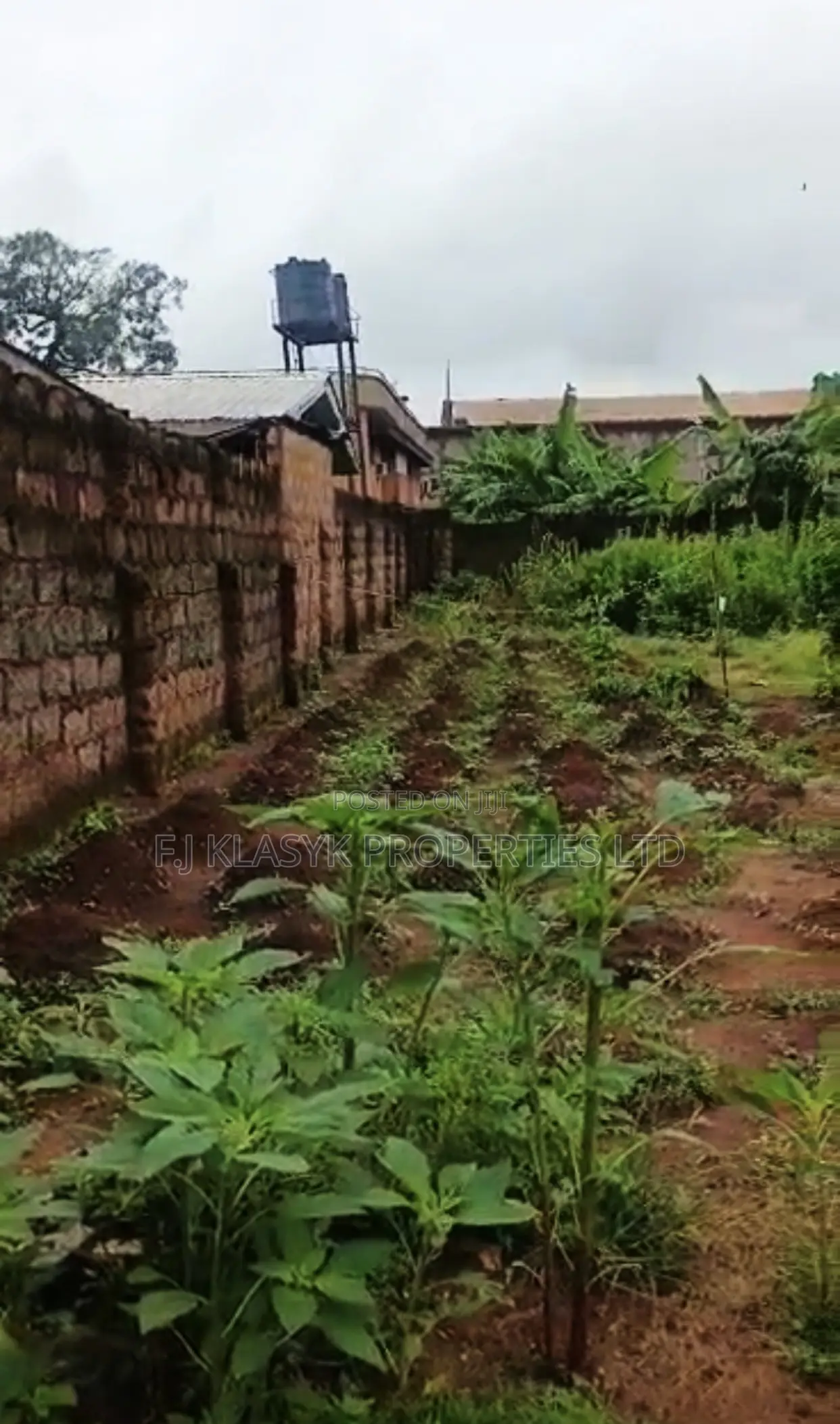100ft X 140ft Land for Sales in Benin City