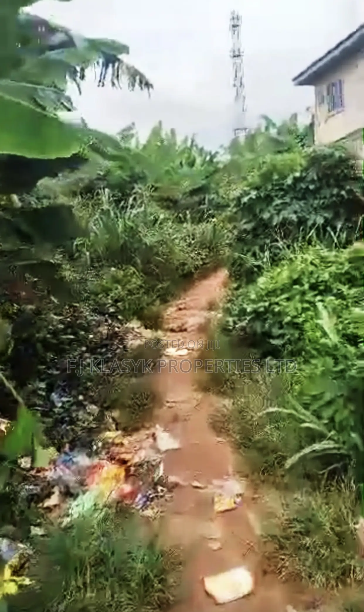 100/100ft Land Newton Ekosodin Going for   Net Good Location in Benin City