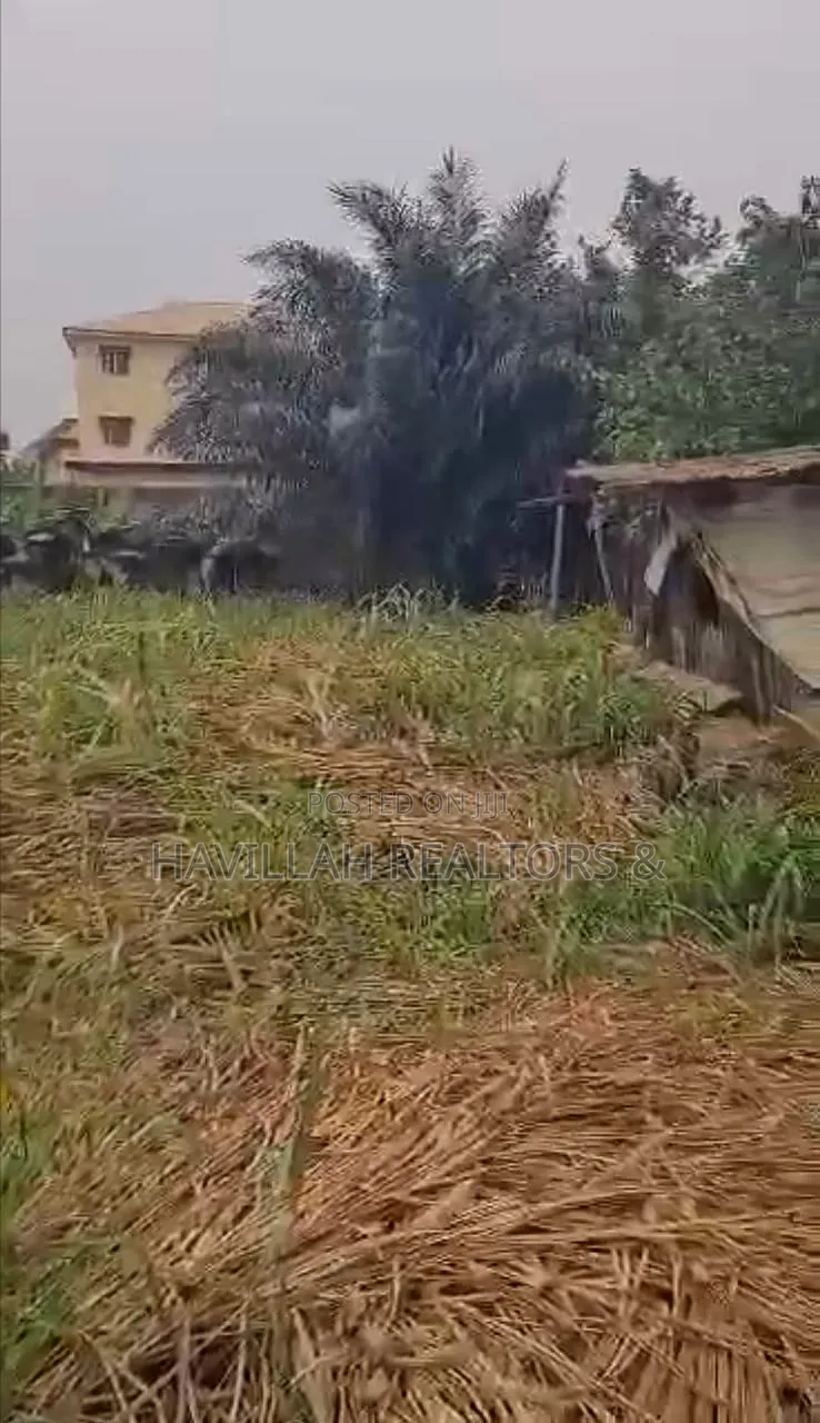 Fully Fenced and Gated Estate in Oke-Ira / Ogba