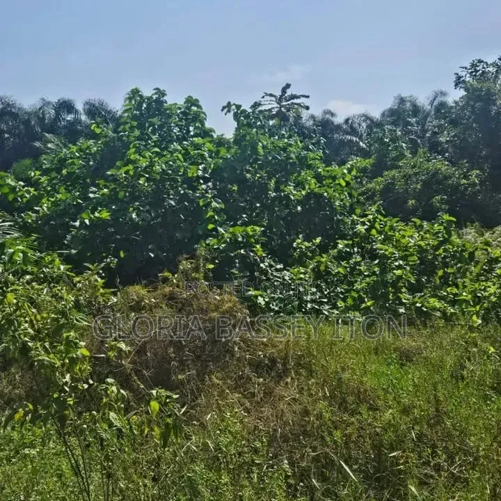 Land for Sale in  Laokwe  Facing the Exxpressway in Lakowe