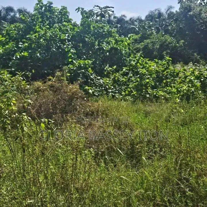 Land for Sale in  Laokwe  Facing the Exxpressway in Lakowe