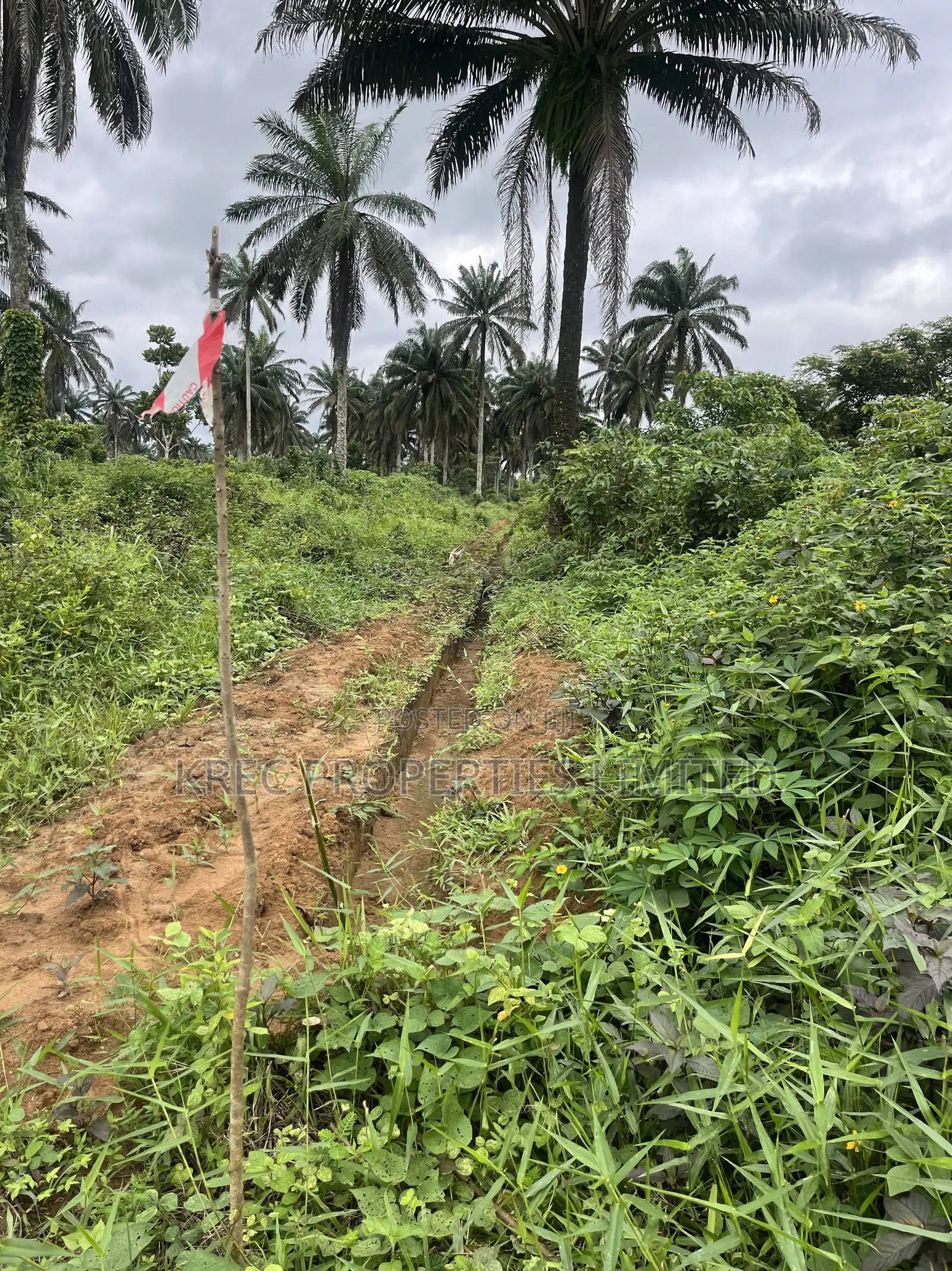 Land on Omagwa Express Road in Omagwa
