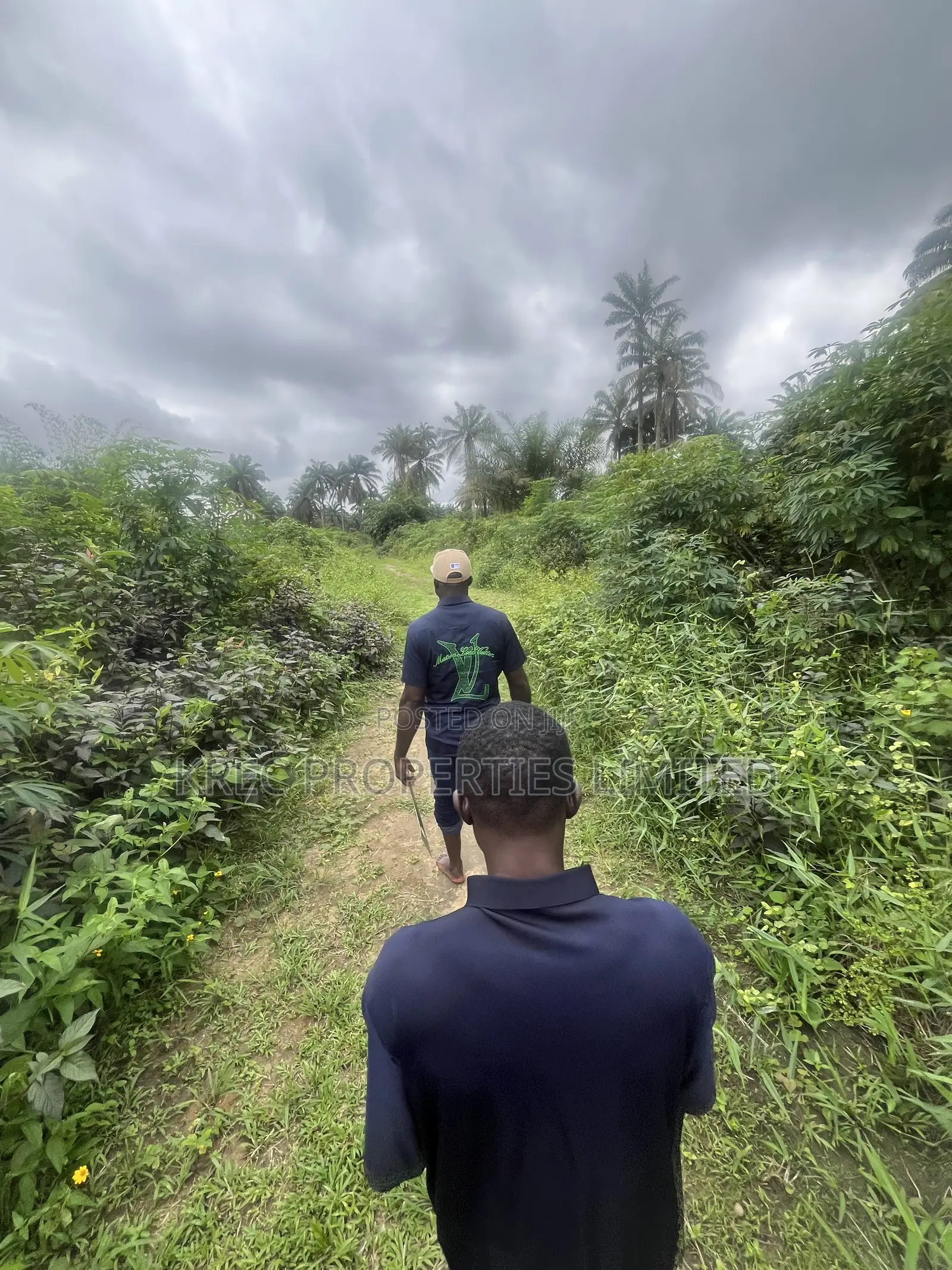 Land on Omagwa Express Road in Omagwa