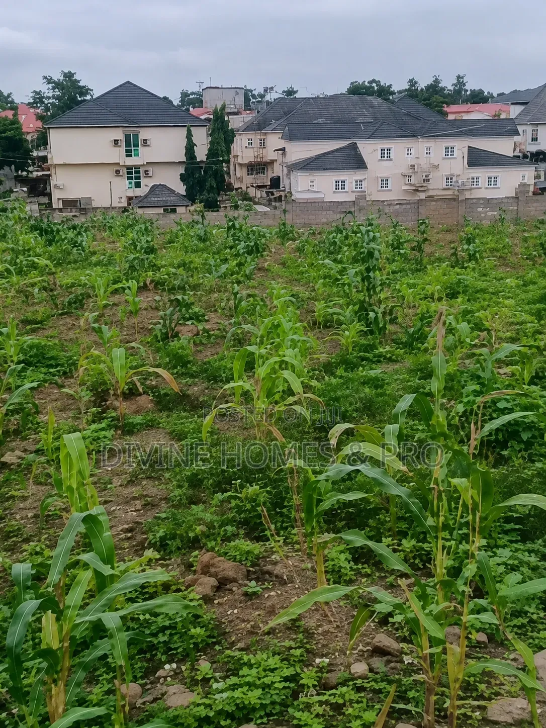 911SQM Residential Plot in Cool Location in Life Camp